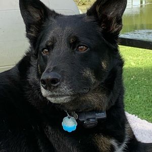 Meet your Posher, Trena